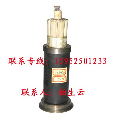 修造船用电线电缆厂家直销CEFR