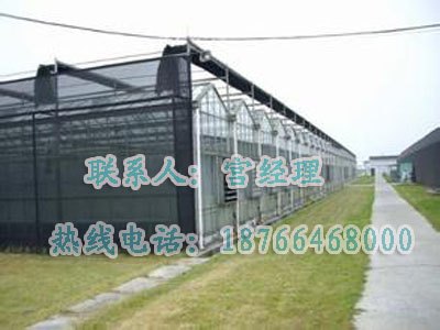 玻璃板温室建造位置|【荐】专业的玻璃板温室建造