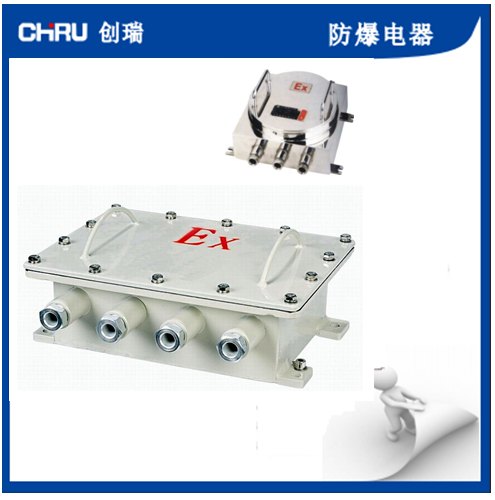 供应：创瑞CRBDZC防爆解码器