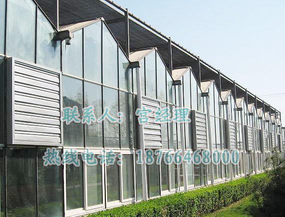 青州连栋育苗温室 山东连栋育苗温室供应