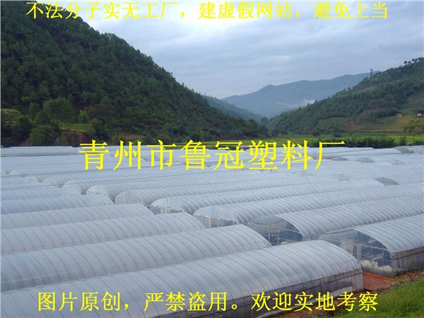 大棚塑料薄膜厂家||大棚膜生产厂家【大棚膜供应商