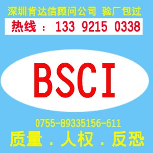 济南REACH认证审核茂名温岭BSCI验厂辅导