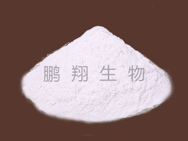 供应滨州鹏翔厂家销售反刍蛋白质价格