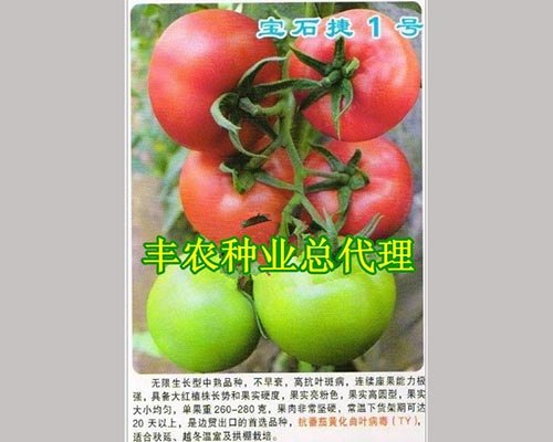 【番茄一号种子】价格_批发_图片_丰农商贸