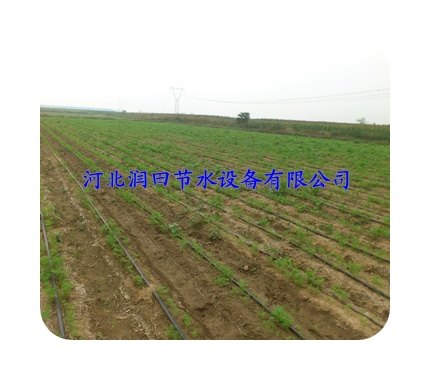 水肥一体化丨蔬果水肥一体化丨大田滴灌供应丨价格优惠