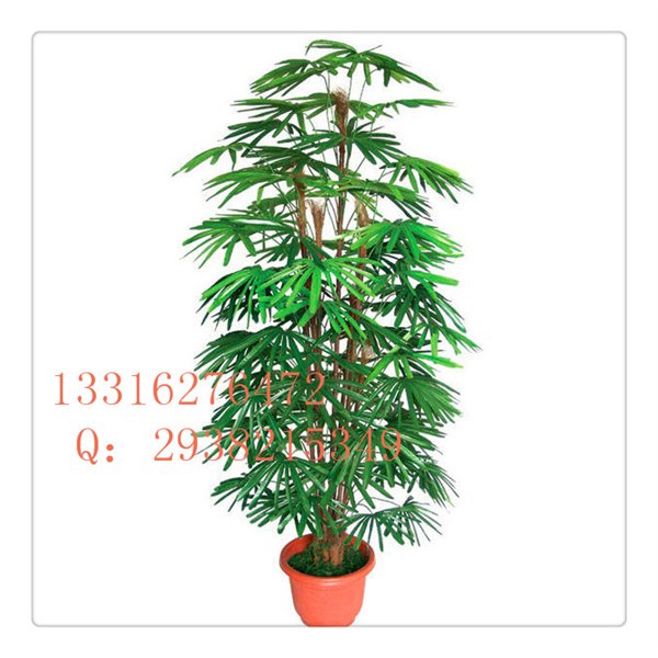 仿真观音竹 大量美观专业 特环 高档次 户外观音竹 假观音竹