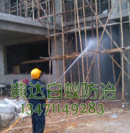 南宁酒店白蚁预防 想要专业的别墅白蚁预防就找典达