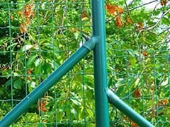 【厂家推荐】护栏网厂家、山东护栏网、护栏网哪家好