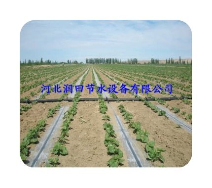 衡水景县耐用滴灌带|大田滴灌丨价格优惠