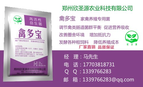 价格合理的养鸡专用益生菌_优秀的发酵酒糟喂鸡提供