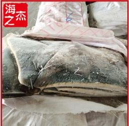 北太鱿鱼边角主要特征