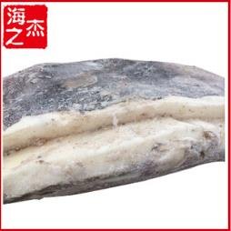 秘鲁鱿鱼嘴海平面下100米左右范围游动