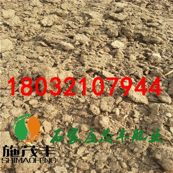 河北干牛粪价格  茂丰肥业