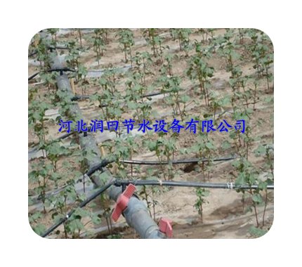河南地区滴灌设备供应|温室大棚花盆滴灌