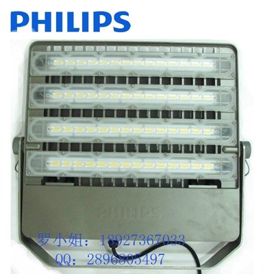 飞利浦园林景观LED投光灯/泛光灯BVP161 50W