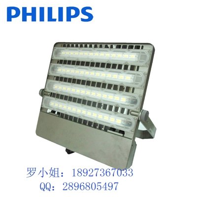 飞利浦园林景观LED投光灯/泛光灯BVP163 220W