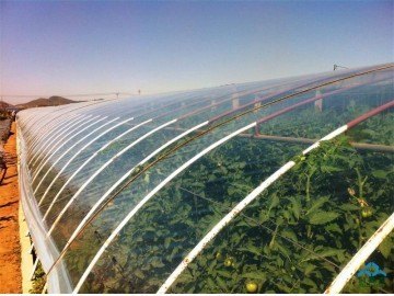 福建农用薄膜厂家 福建农用薄膜价格 河北农用薄膜