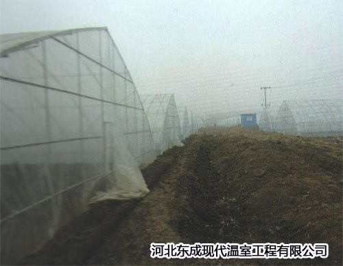 出售低端智能温室大棚