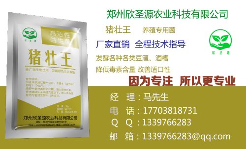 供应南阳性价比最高的豆渣|豆渣喂猪的方法专卖店