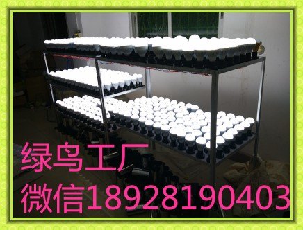 绿鸟SI Slovene应急LED灯、应急吸顶灯、露营球泡灯