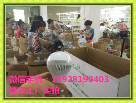 绿鸟Ecuador应急智能灯泡、电池应急灯、智能应急车铝球泡