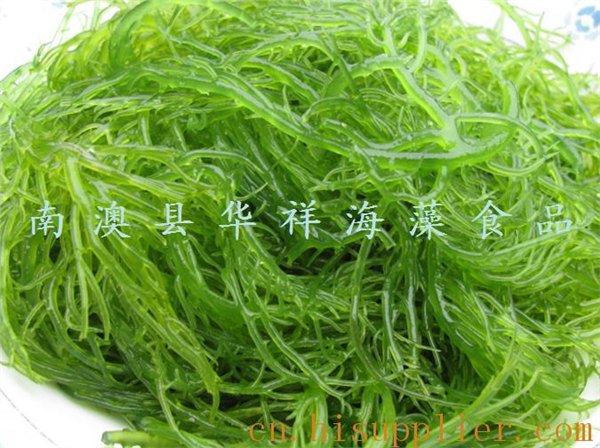 汕头龙须菜 汕头南澳龙须菜价格