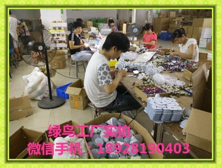 绿鸟韩国应急停电国家灯、LED应急灯泡、USB充电球泡