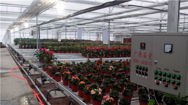玻璃蔬菜大棚建设——提供最好的蔬菜大棚
