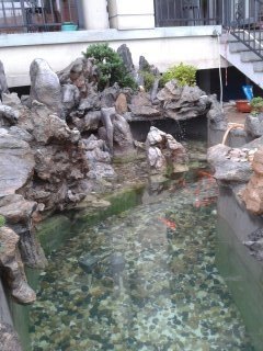 杭州市庭院鱼池水生物净化系统。水清澈见底