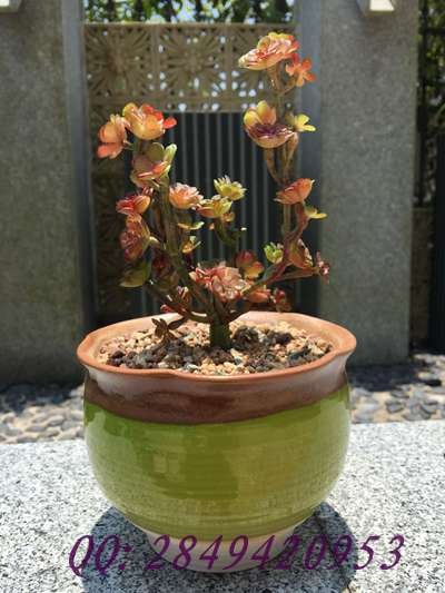 颜色釉多肉复古做旧花盆