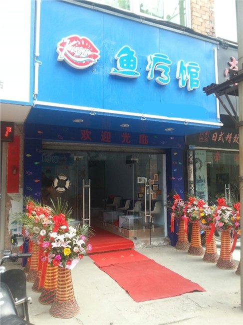宁德服务一流的鱼疗加盟公司【首选】——鱼疗加盟价