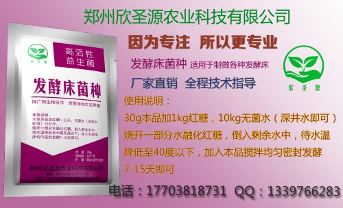 南阳优质的养猪仔专用发酵床报价——北京养猪仔专用