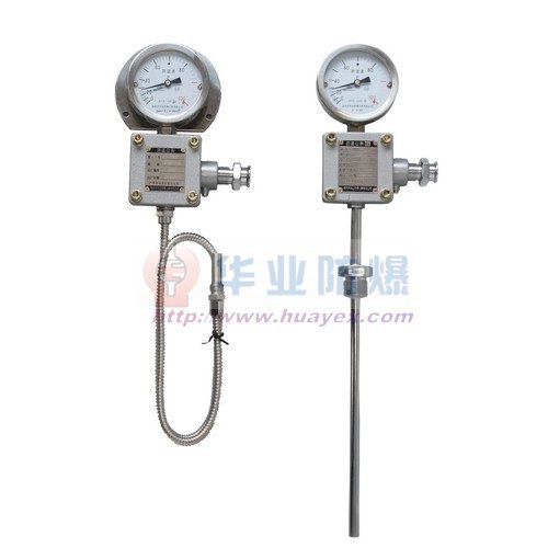 WTZd-283 Z 防爆型热电阻温度变送器(4-20mA)测温仪表