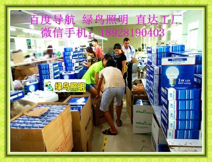 绿鸟|阿联酋阿布扎比应急球泡灯、36V、127节能灯