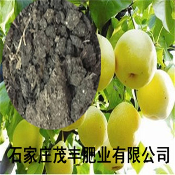 【全国热销】干鸡粪 鸡粪块 发酵粪 生物有机肥 