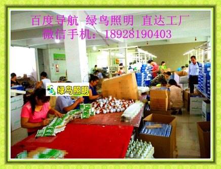 绿鸟照明|波黑萨拉热窝应急球泡灯、36V、127节能灯