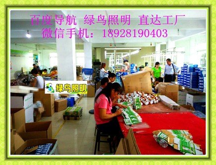 绿鸟照明|爱沙尼亚塔林应急球泡灯、36V、127节能灯