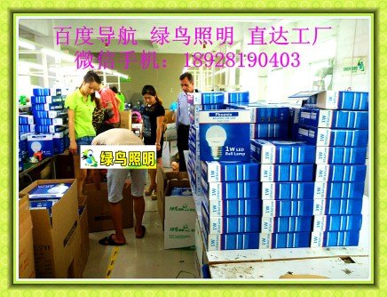 绿鸟照明|爱尔兰都柏林应急球泡灯、36V、127节能灯