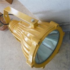 BTC8220A防爆投光灯
