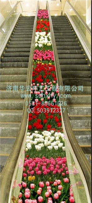 济南仿真植物★济南仿真植物供应★济南仿真植物价格