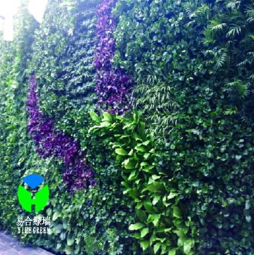 北京植物墙产品_北京生态植物墙产品