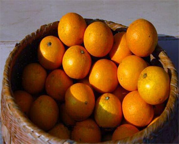 丽江西港化红，修水特产，江西修水西港化红批发