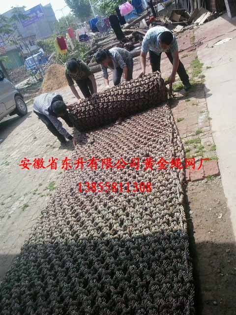 尼龙网防坠网