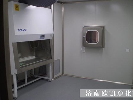 专业团队【量身定制】无菌实验室厂家专业销售，欢迎
