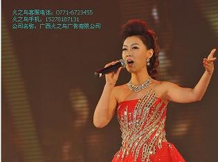 专注南宁演出会场布置《庆典活动、广告策划、大型活动布置》