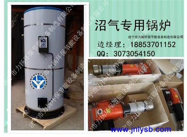 锅炉-燃气锅炉 沼气锅炉 气煤两用锅炉