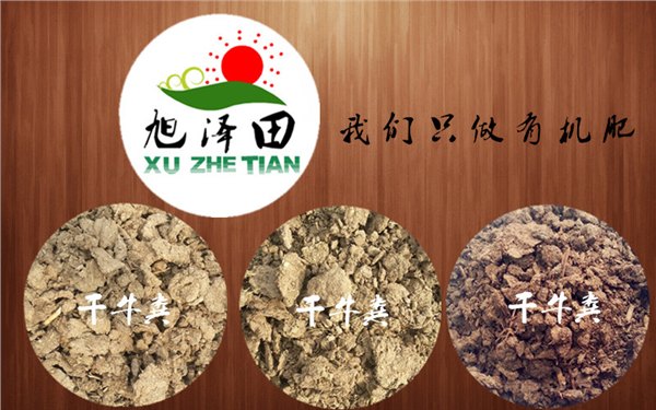 想知道今年下半年的牛粪价格吗  就去看看旭泽天吧