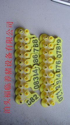 塑料猪耳标动物耳朵专用标签方便管理更好掌握猪健康情况