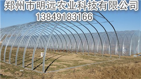 河南单体钢架大棚建设 河北建筑育苗连栋温室大棚技术指导