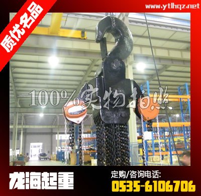 20T*3m大吨位手拉葫芦【与单轨小车配套使用】龙海起重